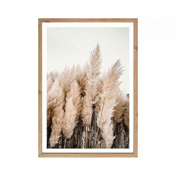 Rámovaný obraz Pampas 50x70 cm, dub artisan