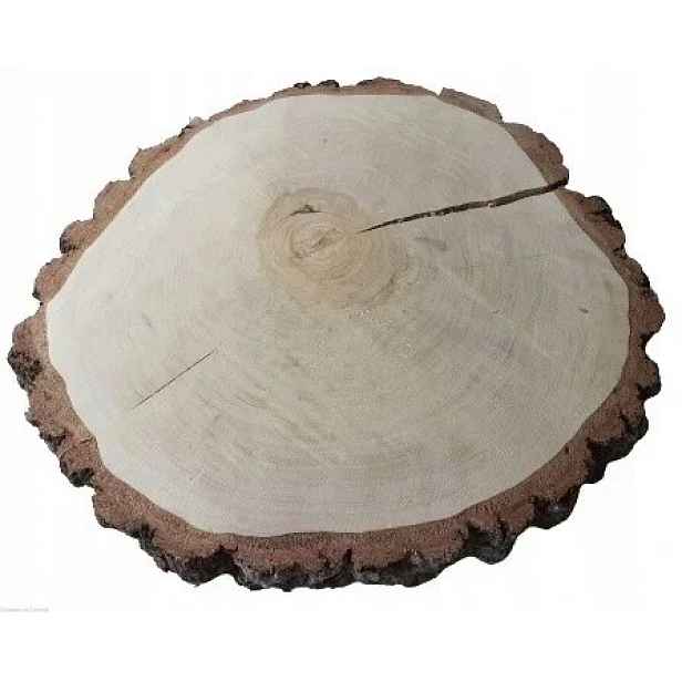 Velký Dřevěný plát dřevěná kolečka z břízy 45-50 cm