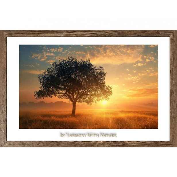 Rámovaný obraz In harmony with nature 70x50 cm, dub tmavý