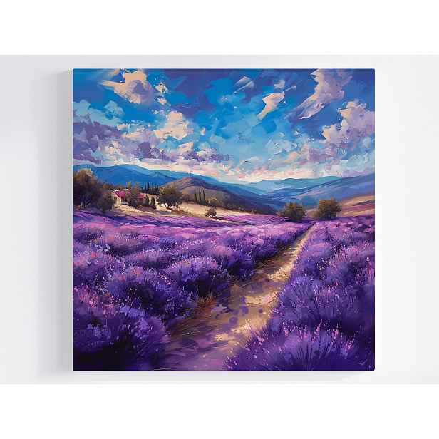 Obraz Na Plátně Canvas Krajina Hory Pole Levandule Květiny 50x50