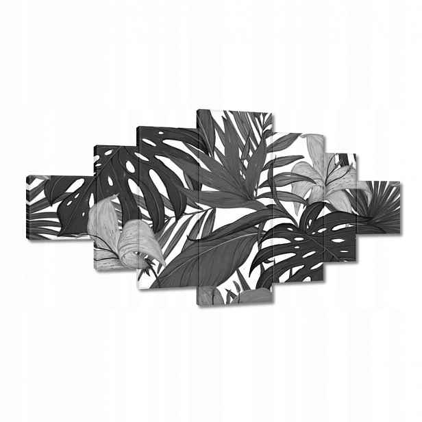 Obrazy 200x100 Černobílá monstera