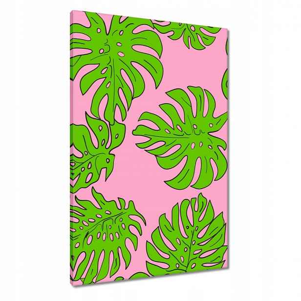 Obrazy 60x90 Monstera Zelená Růže