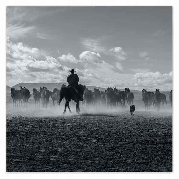 Plakáty 140x140 CowBoy na koni