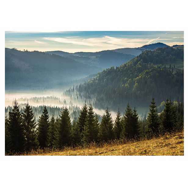 Fototapeta Hory V Mlze Krajina Tapeta Do Předsíně Les Mlha 254x184