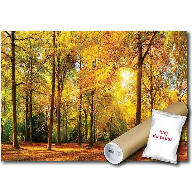 Vinylová fototapeta Les park podzim 152x104