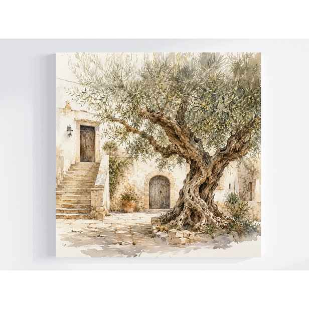 Obraz Na Plátně Canvas Krajina Nádvoří Patio Dřevo Oliva Léto 50x50