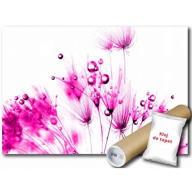 Fototapeta Pampeliška 9A Fxl 208x146 F259