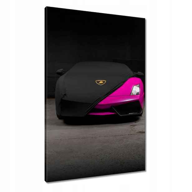 Obrazy 60x90 Růžové sportovní auto