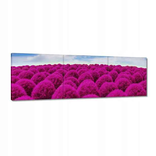 Obrazy 120x40 Výrazná louka Krajina