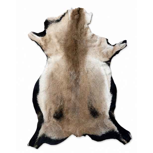 Ovčí kůže „kameruňská“ Béžovo-hnědá 100 cm/XXL (velké jehněčí) 100% přírodní!