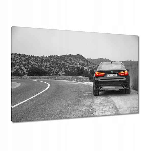 Obrazy 120x80 Bmw černé X6