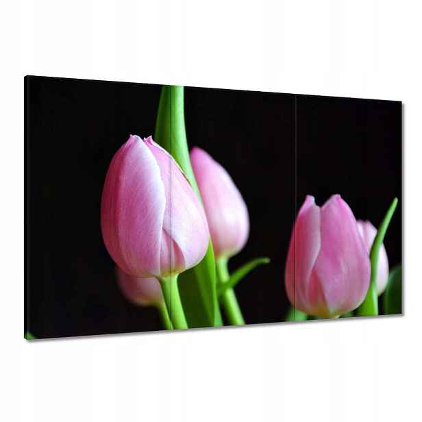 Obrazy 120x80 Fialové tulipány