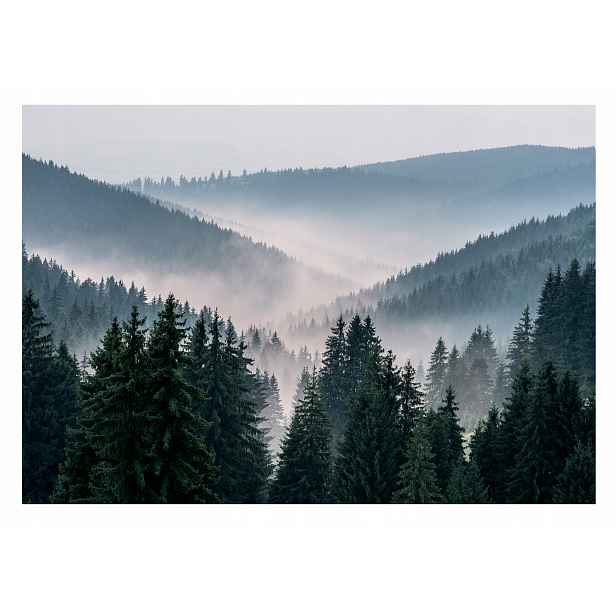 Fototapeta Les V Mlze 3D Hory Stromy Mlha 416x254