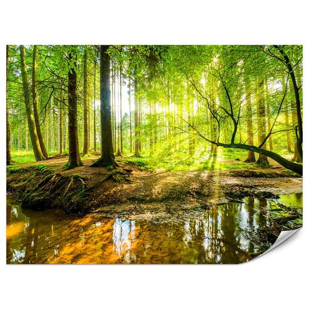 Muralo FOTOTAPETA do Obývacího Pokoje Lesní Krajina Stromy Listy Jaro Zelená 150x105