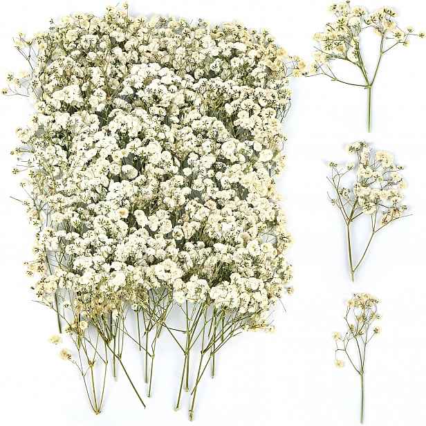 TEMU Balení 110 sušených květů gypsophily, sušené květiny pro tvoření, malé sušené květiny fotorámečky, záložky, přání (béžová a růžová)