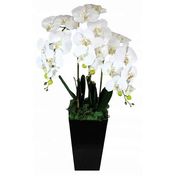 Orchidej Umělá Orchidej Květy Silikonová