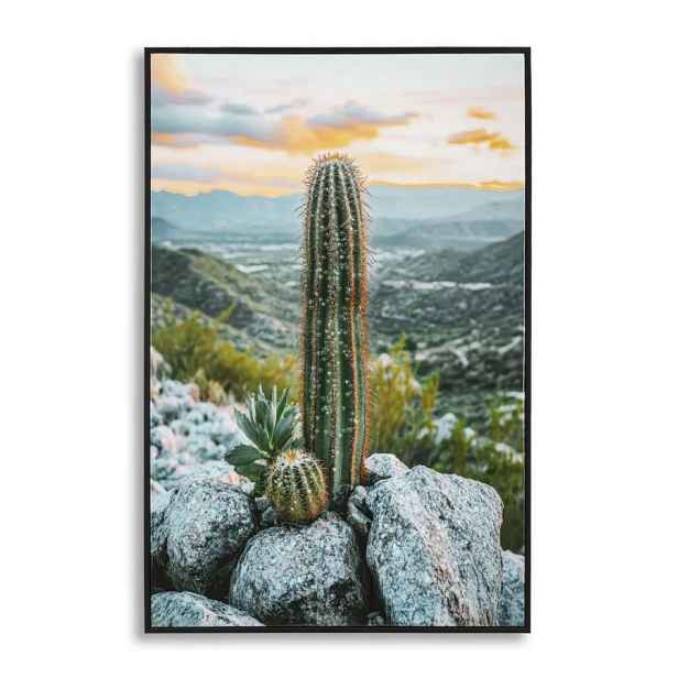 Mauro Ferretti Obraz Cactus A 60x90 cm vícebarevný