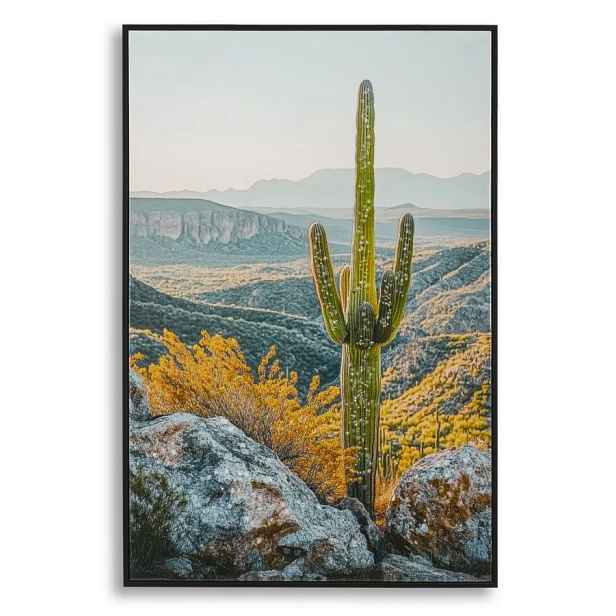 Mauro Ferretti Obraz Cactus B 60x90 cm vícebarevný