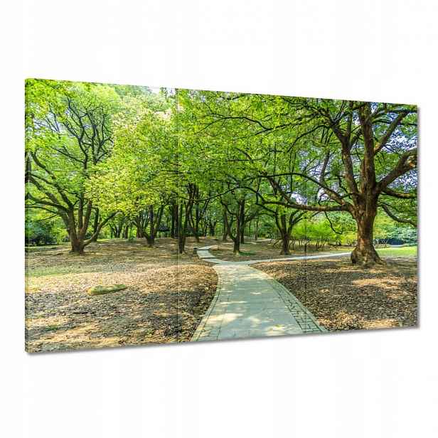 Obrazy 120x80 Zelený park s cestičkou