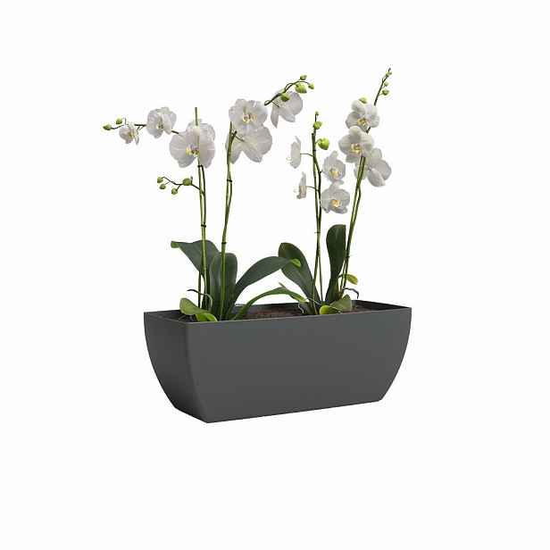 Truhlík z recyklovaného plastu 40 cm Siena – Artevasi