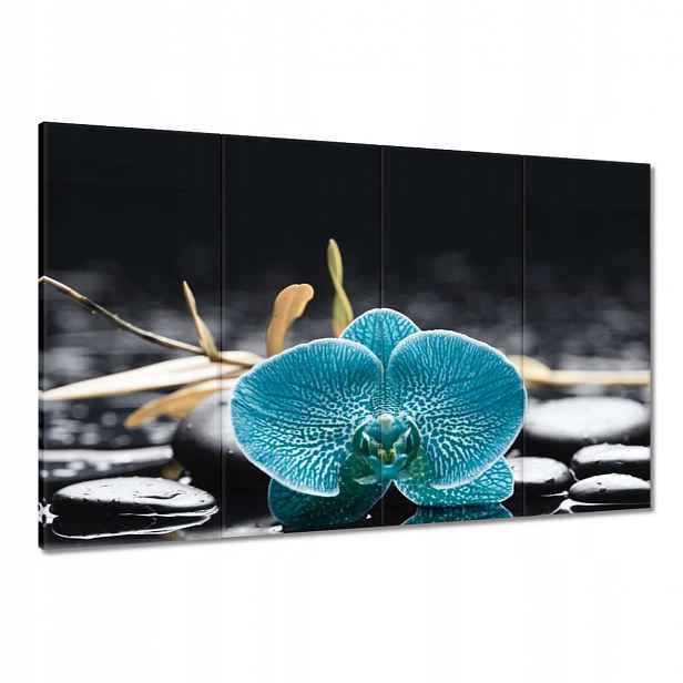 Obrazy 120x80 Tyrkysový orchidej Květina