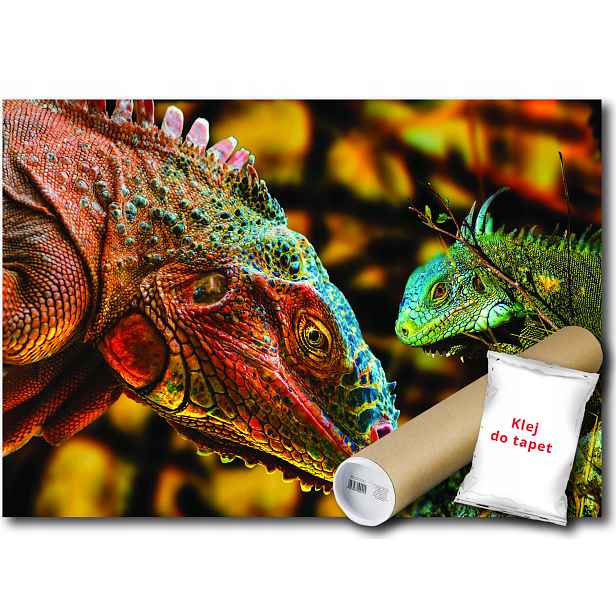 Vinylová fototapeta Drak varan komodo, ještěrka, plaz, zvířata 152x104