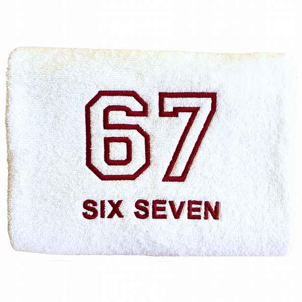 67 Six Seven brain rot roblox Dárek Pro Chlapce Hráče Ručník