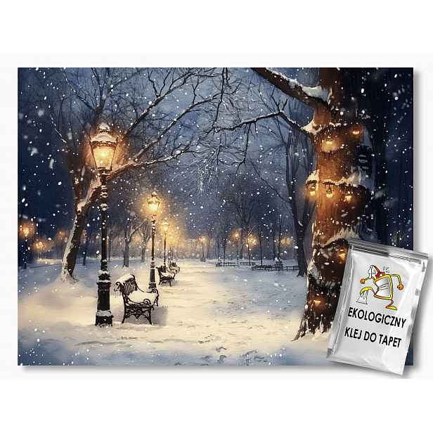 Fototapeta Flizelina Park Stezka Aleja Zima Sníh Večer 254x184 130g