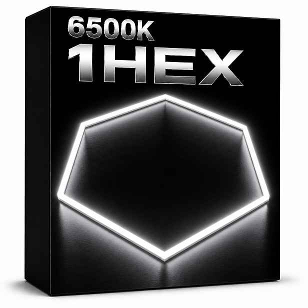 Led lampa Hexagon 1 černá 42W 6500K 92x79 Cm, jednoduchý stropní svítidlo