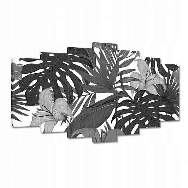 Obrazy 140x80 Černobílá monstera