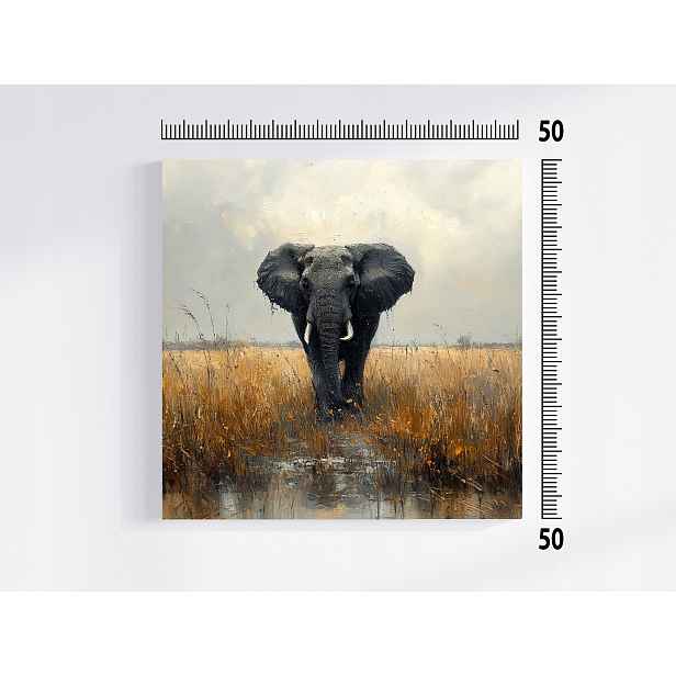Obraz Na Plátně Canvas Příroda Zvíře Afrika Slon Savana 50x50