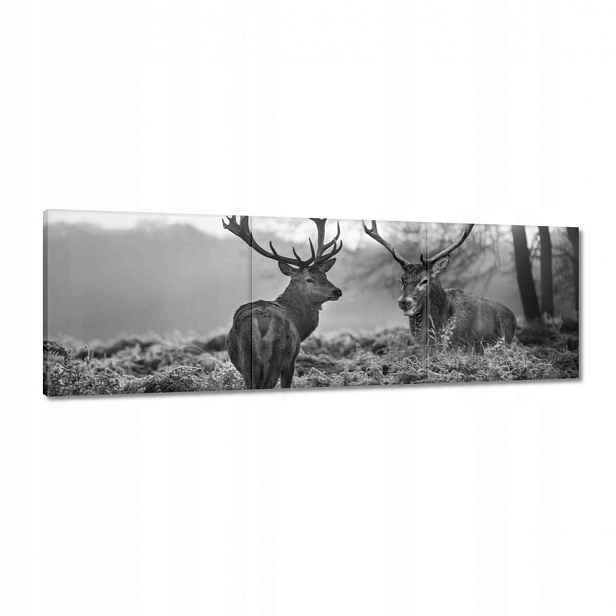 Obrazy 120x40 Jeleni v lese Foto