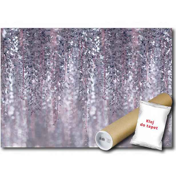 Vinylová fototapeta Wisteria květy 208x146