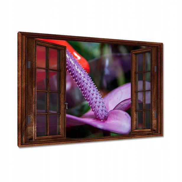 Obrazy 120x80 Fialové anturium