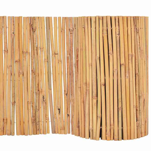 vidaXL Bambusový plot 500 x 50 cm