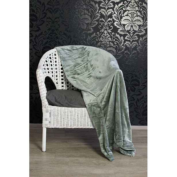 TP Mikroflanelová deka Premium 220x200 - Šedá