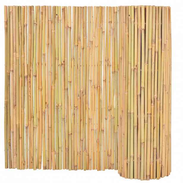 vidaXL Bambusový plot 300 x 100 cm