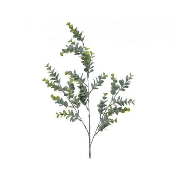 Umělá rostlina Eukalyptus 73 cm, zelená