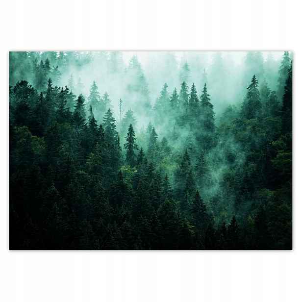 Fototapety 208x146 Les Mlha Krajina Cestování