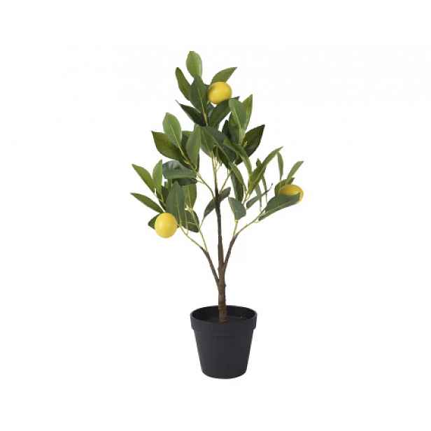 Umělá rostlina Citrónovník v květináči, 60 cm