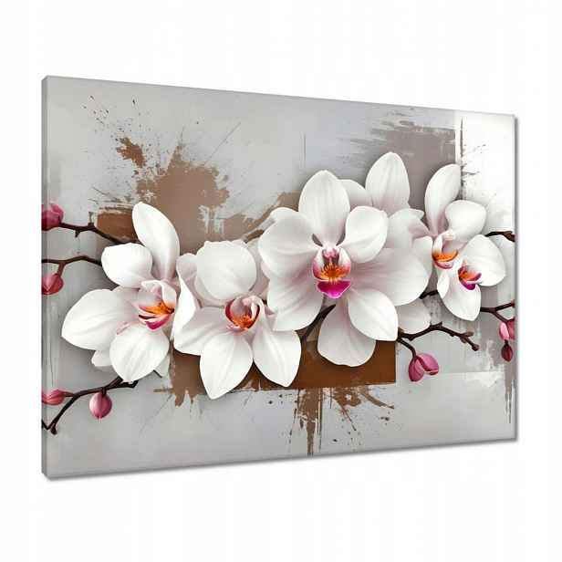 Obrazy 80x60 Bílá orchidej