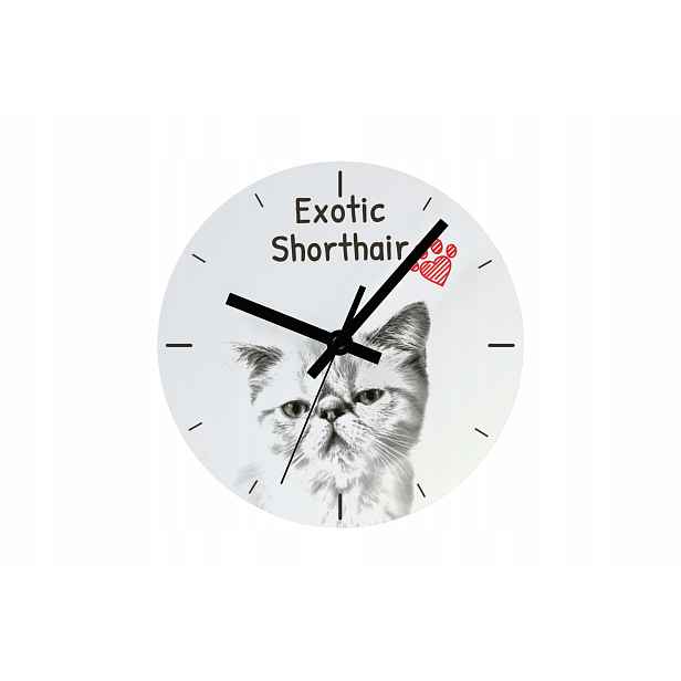 Kočka Exotický krátkosrstý hodinový stroj s kočkou, závěsný a stojící, personalizace