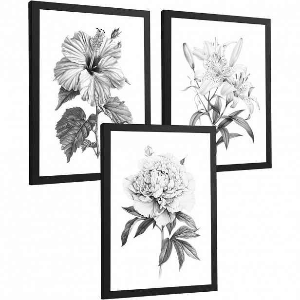 PLAKAT Sada 3 obrázků květin. Dekorativní nástěnné tisky Květiny tužkou. botanický plakát na zeď. Černobílé květinové malby.Černý rám velikosti A4
