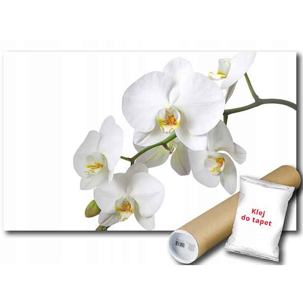 Fototapeta Orchidej 9D V8 368x254 F737