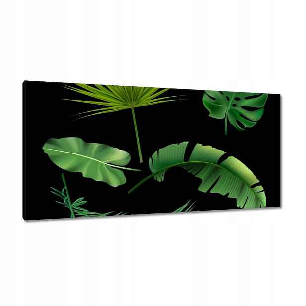 Obrazy 115x55 Tropické zelené listy