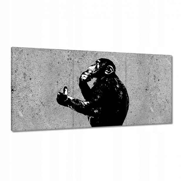 Obrazy 180x90 Moudrá opice to má ráda