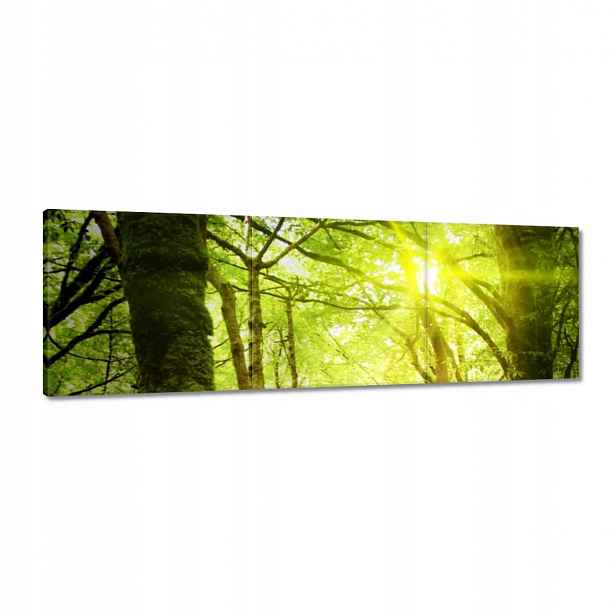 Obrazy 120x40 Kouzelný les Krajina