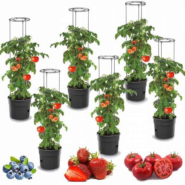 6 x Květináč na zeleninu rajčata paprika fazole 29 Cm