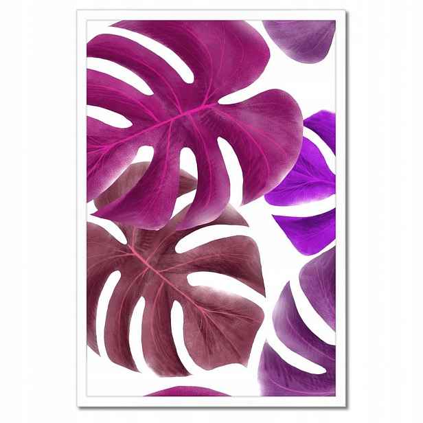 Plakáty v rámu 40x60 Monstera Listy Fialová