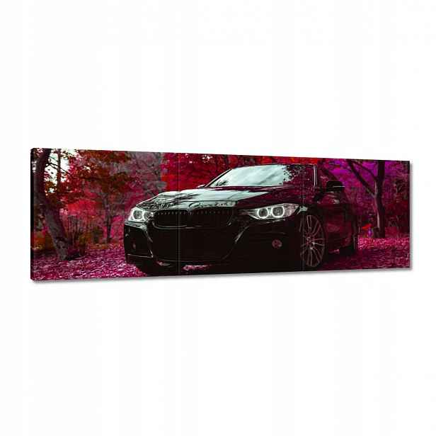 Obrazy 120x40 Černé Bmw Podzim